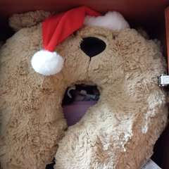 Фото отзыва 10664440