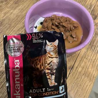 Корм влажный для кошек Eukanuba Cat 85г с кроликом в соусе для взрослых пауч: отзыв пользователя. Зоомагазин Зоозавр
