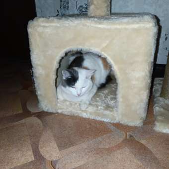 Домик для кошки с когтеточкой Pet БМФ Бежевый: отзыв пользователя. Зоомагазин Зоозавр