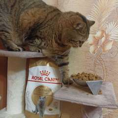 Фото отзыва 10759382