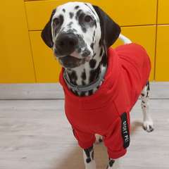 Фото отзыва 10531196