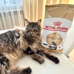 Фото отзыва 10984579