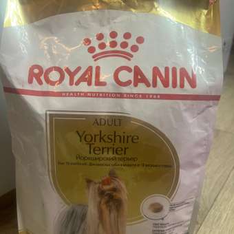 Корм для собак ROYAL CANIN породы йоркширский терьер 3кг: отзыв пользователя. Зоомагазин Зоозавр