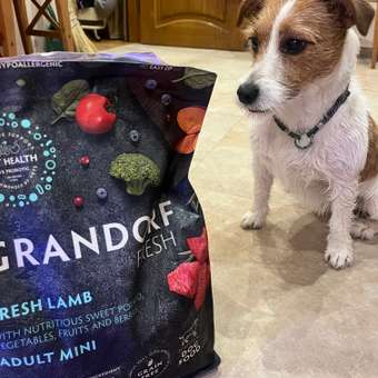 Корм для собак GRANDORF FRESH Fresh Adult Lamb/Sweet Potato мелких пород Свежее мясо ягненка 3кг беззерн с жив пробиотиками: отзыв пользователя. Зоомагазин Зоозавр