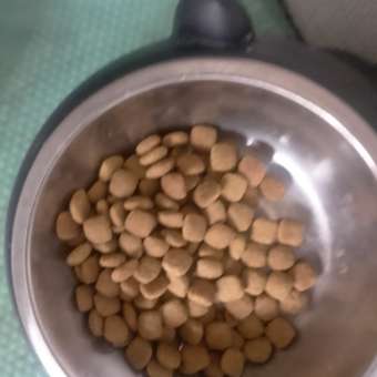 Корм для кошек ROYAL CANIN Neutered Satiety Balance стерилизованных 300г: отзыв пользователя. Зоомагазин Зоозавр
