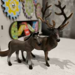 Фото отзыва 11348197