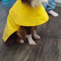 Фото отзыва 11032940