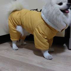 Фото отзыва 10740748