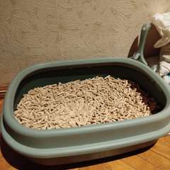 Фото отзыва 10973607