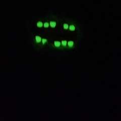 Фото отзыва 11143249