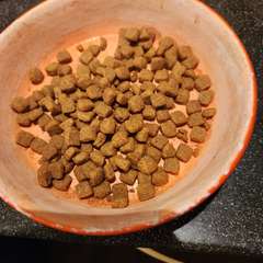 Фото отзыва 10944440