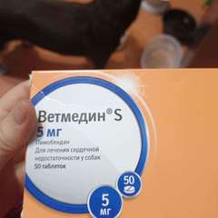 Фото отзыва 10674999