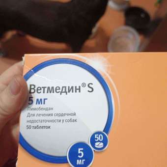 Препарат для лечения сердечно-сосудистых заболеваний у собак Boehringer Ingelheim Ветмедин S 5.0мг 50таблеток: отзыв пользователя. Зоомагазин Зоозавр