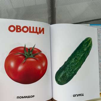 Развивающая Проф-Пресс Главная книга малыша от 0 до 3 лет: отзыв пользователя Детский Мир