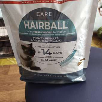Корм сухой для кошек ROYAL CANIN Hairball Care 2кг для профилактики образования волосяных комочков в желудочно-кишечном тракте: отзыв пользователя. Зоомагазин Зоозавр