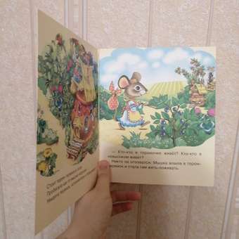 Книга Школьная Книга Теремок: отзыв пользователя Детский Мир