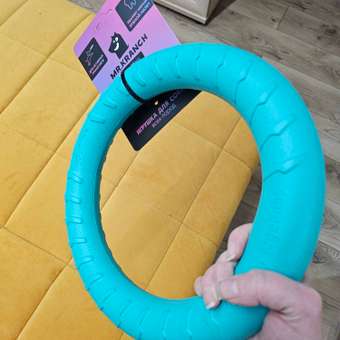 Игрушка для собак Mr.Kranch Кольцо диаметр 28см бирюзовая: отзыв пользователя. Зоомагазин Зоозавр