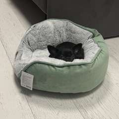 Фото отзыва 10837878