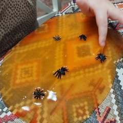 Фото отзыва 10986066