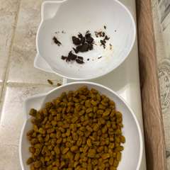 Фото отзыва 10713629