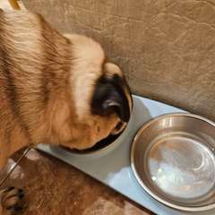 Фото отзыва 10728330