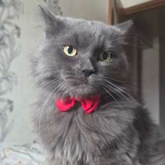 Фото отзыва 11083298