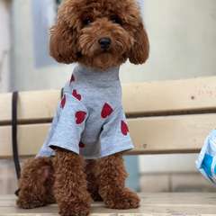 Фото отзыва 10290824