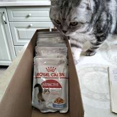 Фото отзыва 10474758