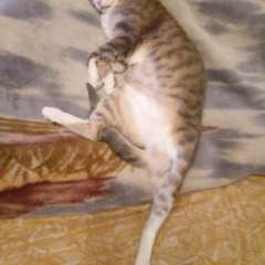 Фото отзыва 10962302