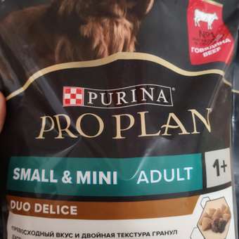 Корм для собак PRO PLAN Duo delice мелких и карликовых пород говядина с рисом 700г: отзыв пользователя. Зоомагазин Зоозавр