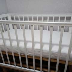 Фото отзыва 10726121