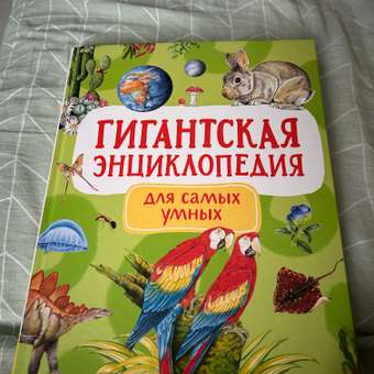 Книга Росмэн Гигантская энциклопедия для самых маленьких: отзыв пользователя Детский Мир