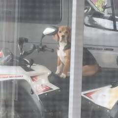 Фото отзыва 10643891