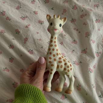 Прорезыватель Sophie la girafe Жирафик Софи: отзыв пользователя Детский Мир
