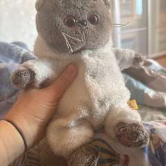 Фото отзыва 10949874