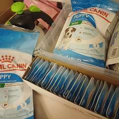 Фото отзыва 10453510