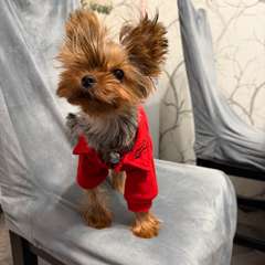 Фото отзыва 10587297