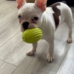 Фото отзыва 11085376