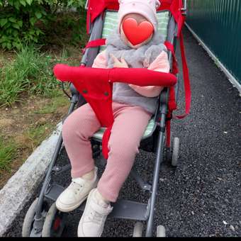 Коляска прогулочная Babyton Zoo Red: отзыв пользователя ДетМир