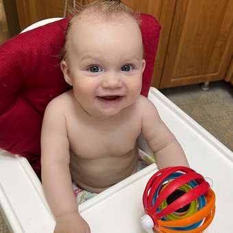 Игрушка Baby Einstein: отзыв пользователя Детский Мир