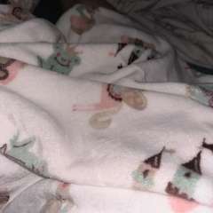 Фото отзыва 11180393