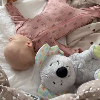 Игрушка Fisher Price Коала: отзыв пользователя Детский Мир