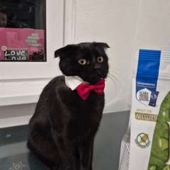 Фото отзыва 10815327