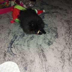 Фото отзыва 10818347