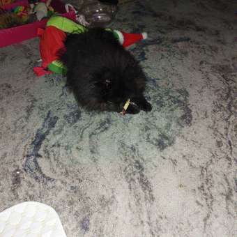 Лакомство для собак LIGHT BITES 55г Косточки из утки: отзыв пользователя. Зоомагазин Зоозавр