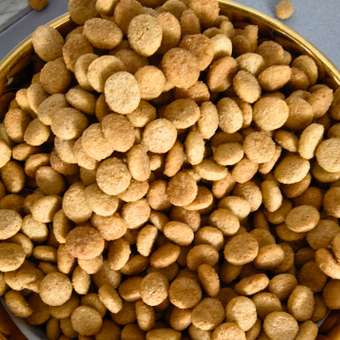 Корм для кошек ROYAL CANIN Veterinary Diet Urinary S/O Moderate Calorie Лечение и профилактика МКБ 1.5кг: отзыв пользователя. Зоомагазин Зоозавр