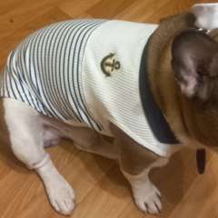 Фото отзыва 10968240