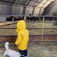 Фото отзыва 10742113