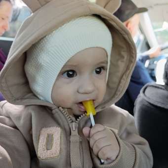 Толстовка Baby Gо: отзыв пользователя Детский Мир