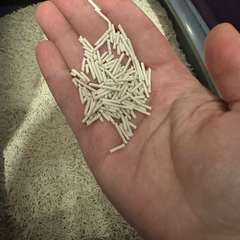 Фото отзыва 10868522